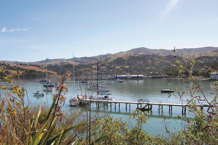 Akaroa to Christchurch: Banks Peninsula Shore Excursion and City Sights photo 4