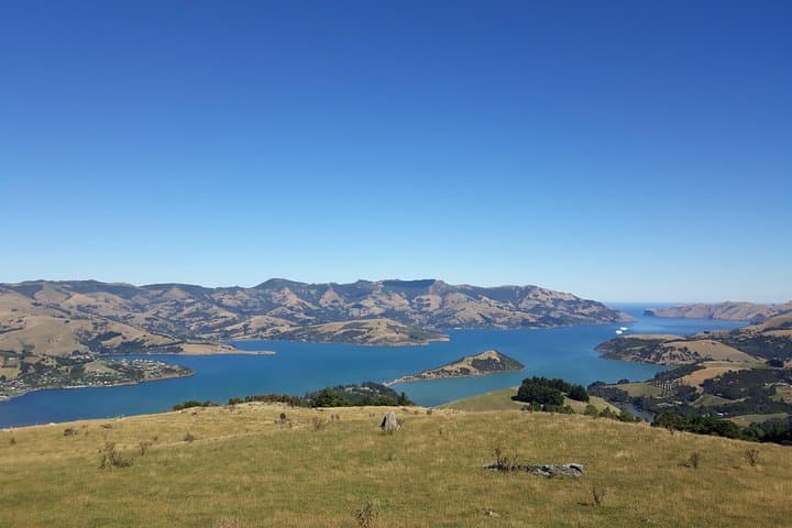 From Akaroa Wharf to Working Sheep Farm: Banks Peninsula Shore Excursion photo 4