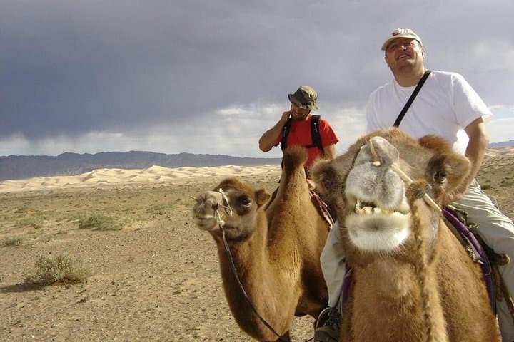 Semi-Gobi Day Tour from Ulaanbaatar: Elsen Tasarkhai, Nomads & Khustai Wild Horses