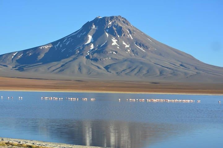 Summit Lascar Volcano: High-Altitude Trek to Chile's Smoking Crater photo 2