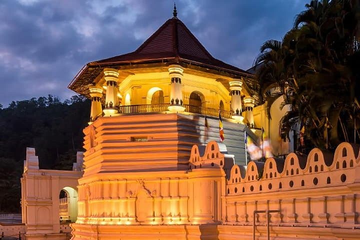 Kandy Private Day Tour from Colombo: Temple, Tea Gardens & Udawatta Kele photo 4