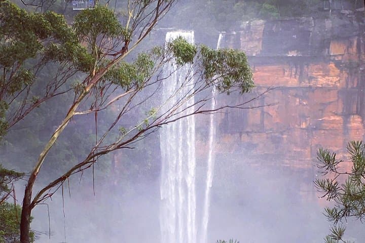 Waves, Waterfalls & Wineries: Southern Highlands Full-Day Private Tour from Sydney photo 5
