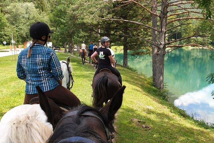 Horseback Riding in Bled: Scenic Lake Bled Alpine Horseback Tours photo 6