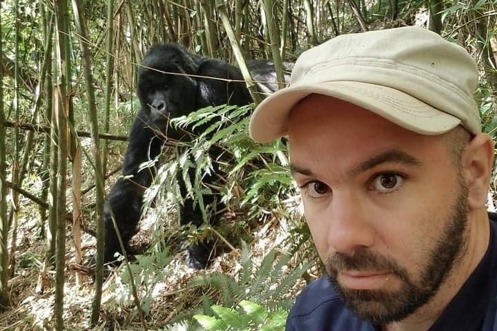 Gorilla Trekking from Kigali: 10-Hour Volcanoes National Park Day Trip photo 3
