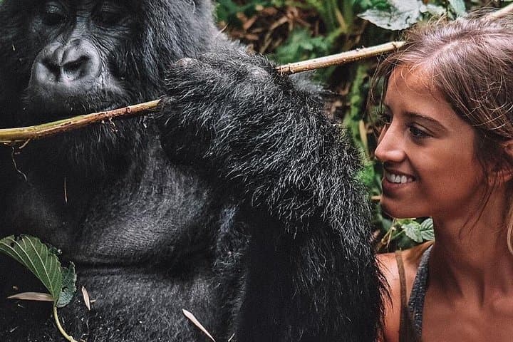 Gorilla Trekking from Kigali: 10-Hour Volcanoes National Park Day Trip photo 1