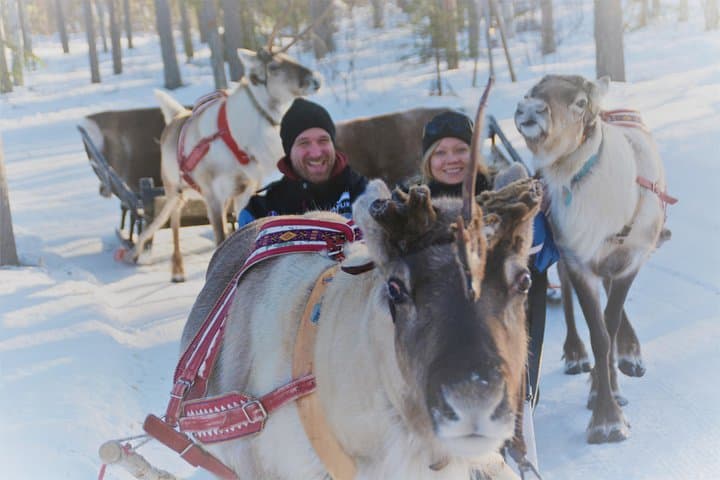 Apukka Reindeer Journey: Reindeer Sleigh Ride & Lappish Hut Experience in Rovaniemi photo 2