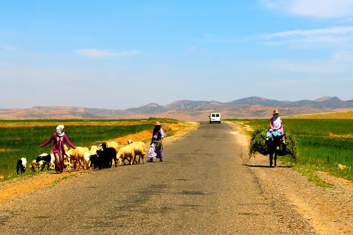 Ouzoud Waterfalls Private Day Trip from Marrakech — Cascades d'Ouzoud Guide photo 3