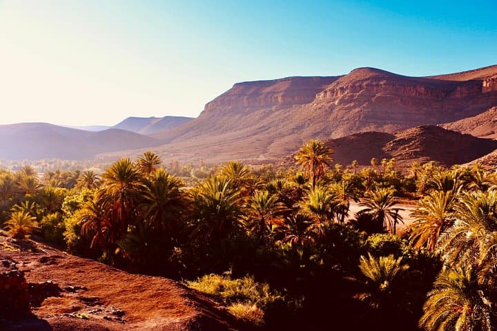 Private Full-Day Ouarzazate & Oasis Fint Tour — Kasbahs, Atlas Studios & Local Lunch photo 3