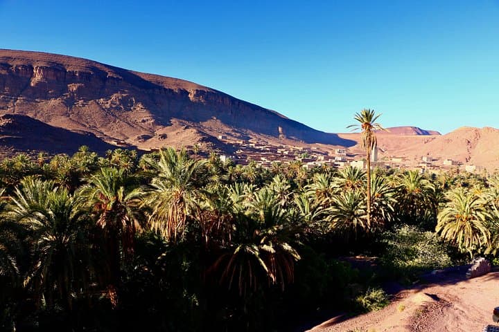 Private Full-Day Ouarzazate & Oasis Fint Tour — Kasbahs, Atlas Studios & Local Lunch photo 4
