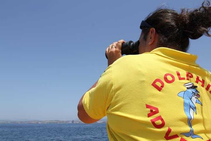 Gibraltar Dolphin Adventure: Boat Tour to See Wild Dolphins by the Rock photo 2