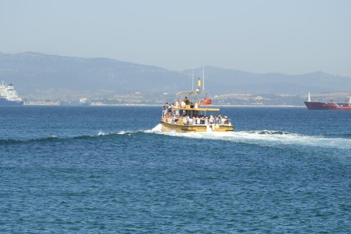 Gibraltar Dolphin Adventure: Boat Tour to See Wild Dolphins by the Rock photo 6