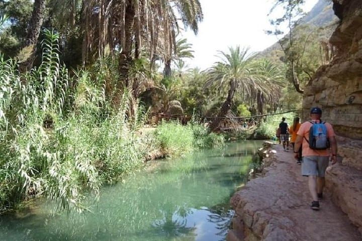 Half-Day Paradise Valley Tour from Agadir — Swim, Hike and Oasis Canyons photo 4
