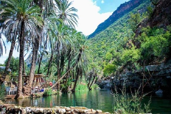 Half-Day Paradise Valley Tour from Agadir — Swim, Hike and Oasis Canyons photo 5