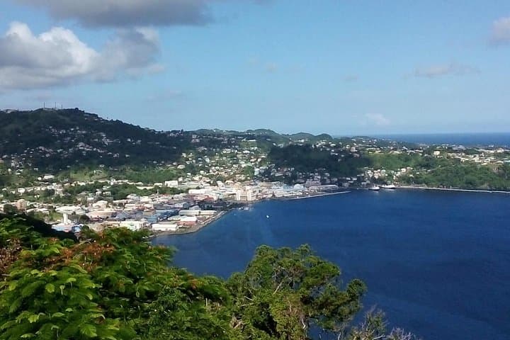 Fort Charlotte & Botanical Gardens Kingstown Tour: History, Views, and Local Market Experience photo 2
