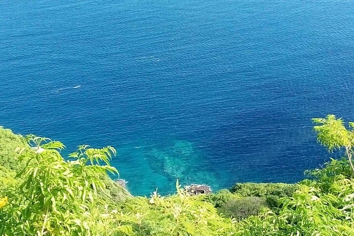 Fort Charlotte & Botanical Gardens Kingstown Tour: History, Views, and Local Market Experience photo 3