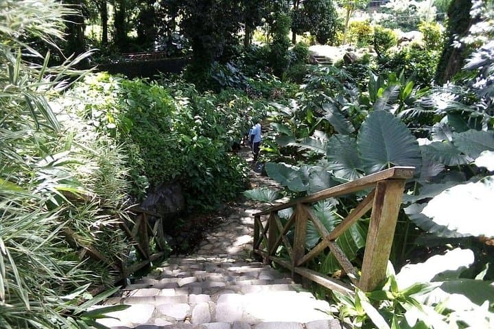 Pirates and Beach Tour in Wallilabou Bay — Kingstown Movie-Set, Waterfall & Beach Excursion photo 3