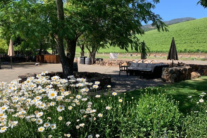 Napa and Sonoma Private Wine Tour: A Curated 8‑Hour Wine Country Experience photo 3