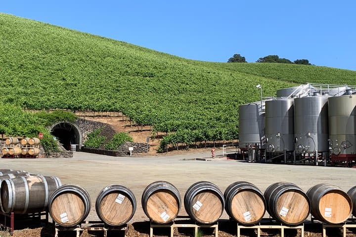 Napa and Sonoma Private Wine Tour: A Curated 8‑Hour Wine Country Experience photo 4