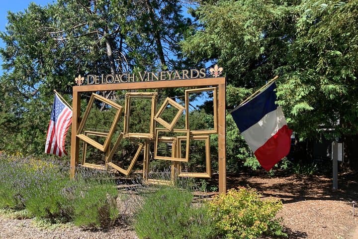 Napa and Sonoma Private Wine Tour: A Curated 8‑Hour Wine Country Experience photo 5