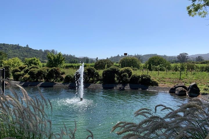 Napa and Sonoma Private Wine Tour: A Curated 8‑Hour Wine Country Experience photo 6