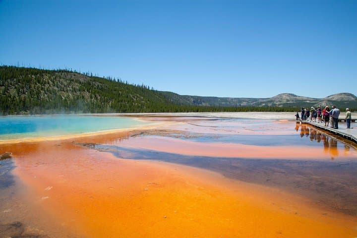 Exploring Yellowstone: Private Full-Day Wildlife Safari Adventure photo 2