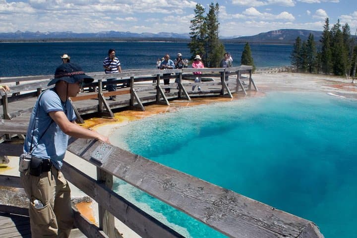 Exploring Yellowstone: Private Full-Day Wildlife Safari Adventure