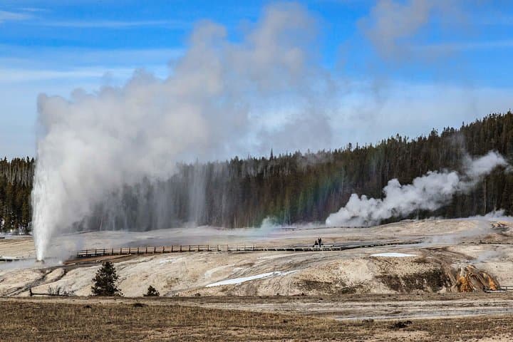 Exploring Yellowstone: Private Full-Day Wildlife Safari Adventure photo 6