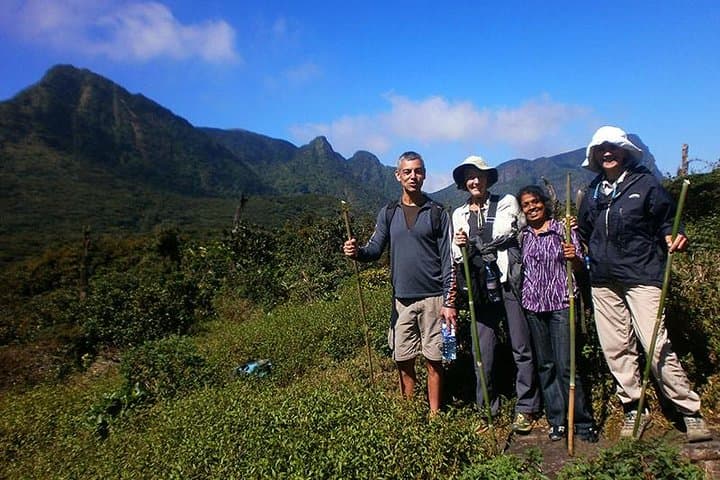 Overnight Camping at Knuckles: Two-Day Trek to Sri Lanka's 1,856m Peak photo 6