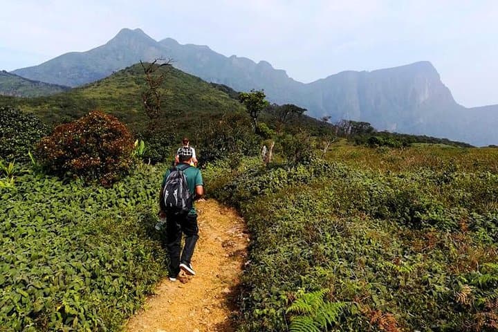 Overnight Camping at Knuckles: Two-Day Trek to Sri Lanka's 1,856m Peak photo 4