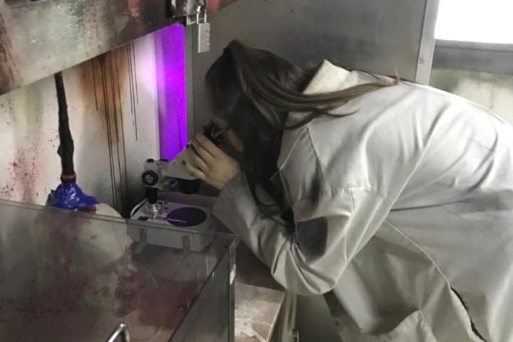 Survive the Undead: Zombie Apocalypse Escape Room in San Antonio photo 4