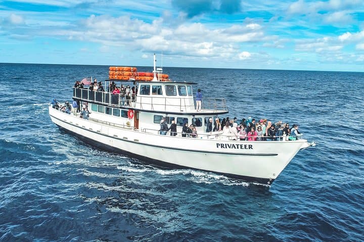 San Diego Whale Watching & Dolphin Cruise from Mission Bay — 2–3 Hour Pacific Safari photo 3