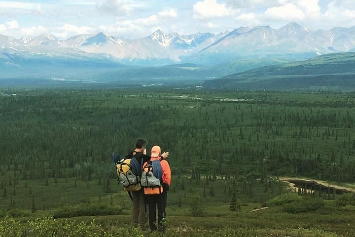 Denali National Park Wilderness Hiking Tour: A 5-Hour Guided Trek Through Alaska’s Untamed Terrain photo 3