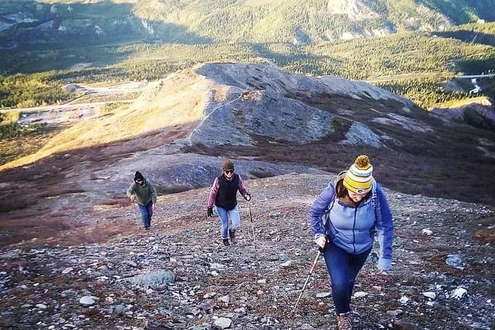 Denali National Park Wilderness Hiking Tour: A 5-Hour Guided Trek Through Alaska’s Untamed Terrain photo 4