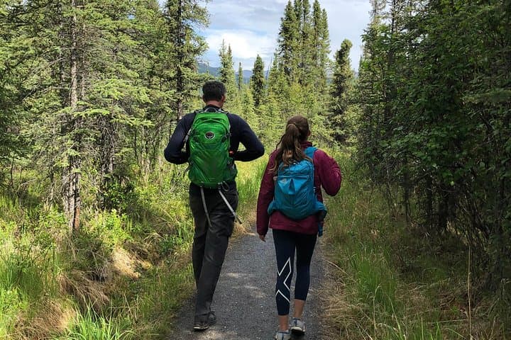 Explore Denali National Park on a Guided Naturalist Walking Tour photo 4