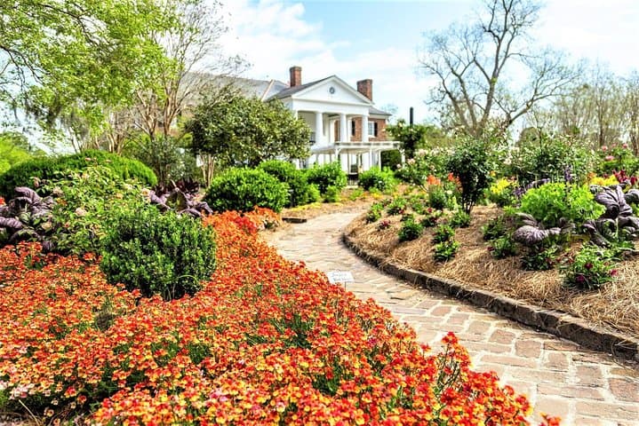Boone Hall Plantation All-Access: Gardens, Gullah Culture & Historic Home Tour photo 1