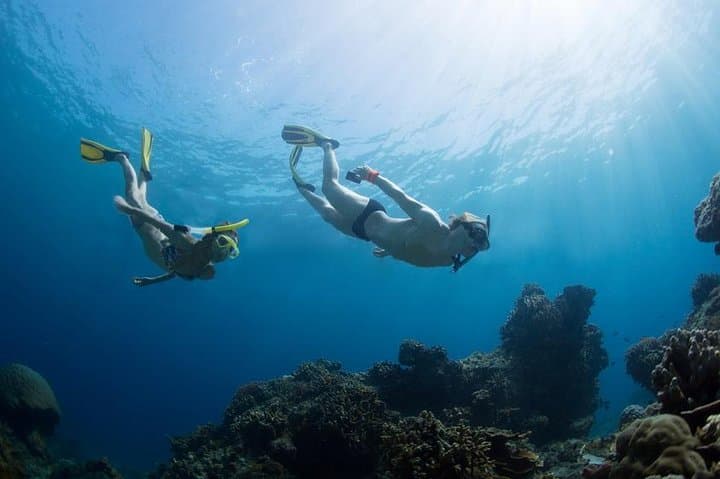 Snorkeling Land's End: Pelican Rock & Underwater Wildlife in Cabo San Lucas photo 2