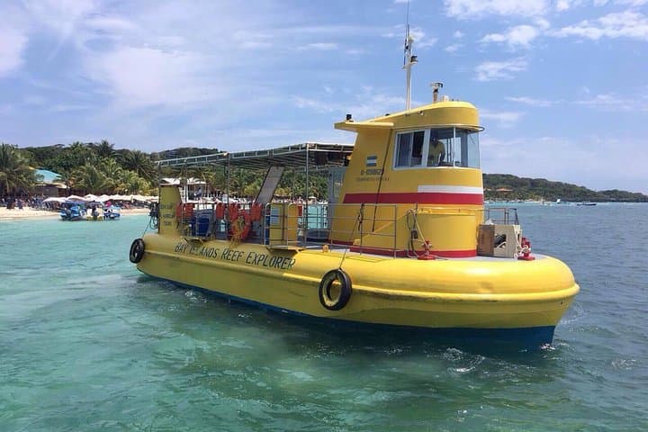 Roatán Glass-Bottom Boat Tour and West Bay Beach — Explore the Mesoamerican Reef photo 2