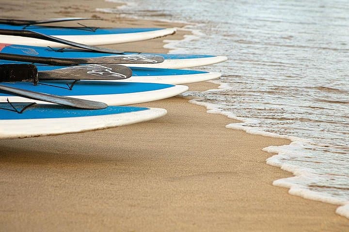 Paddle to El Arco: Stand Up Paddle Tour in Cabo San Lucas photo 4