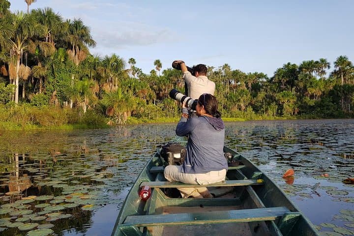 Best of Tambopata: 2-Night Jungle Wildlife Tour & Chuncho Macaws Clay Lick