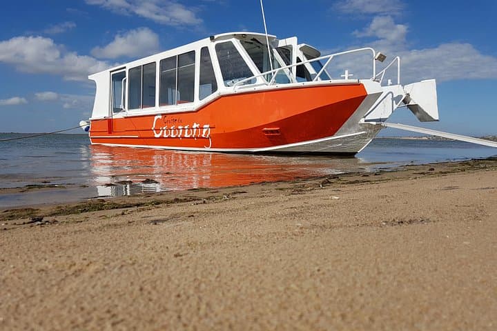 Coorong Highlights Cruise: Murray Mouth Seals, Cockle Digs and Bush Tucker Walk
