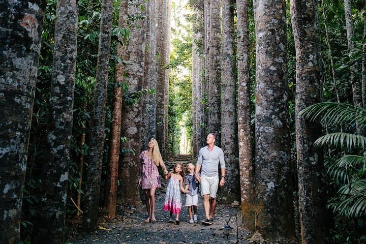 Atherton Tablelands Day Trip from Cairns — Paronella Park, Lake Barrine & Millaa Millaa Falls