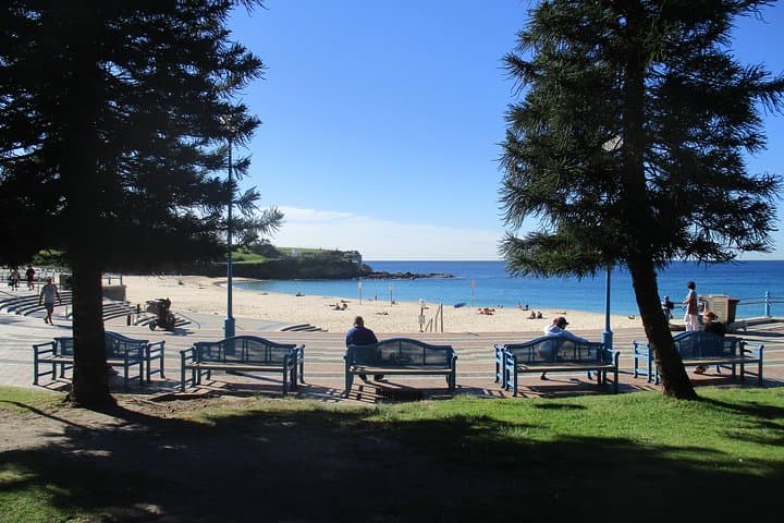 Coogee to Bondi Coastal Walk: Private Guided 6km Cliff-Top Walk from Your Hotel photo 2