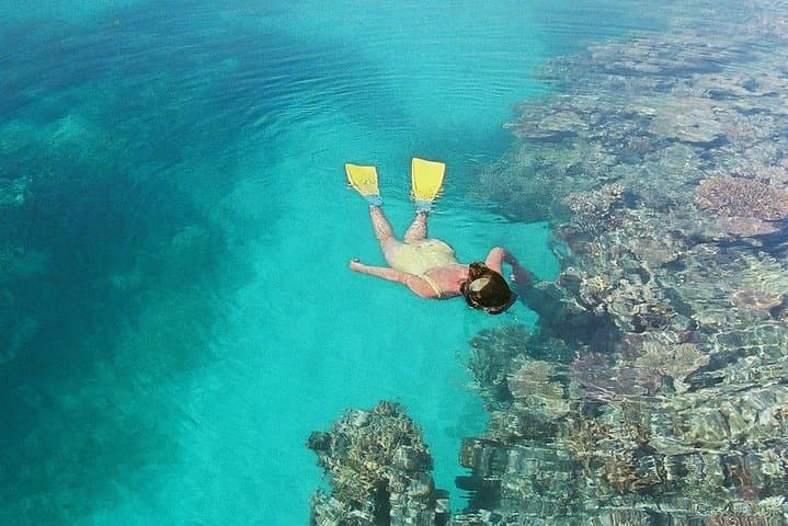 Private Great Barrier Reef Expedition Cruise — 4–7 Day Liveaboard with Master Reef Guide photo 3