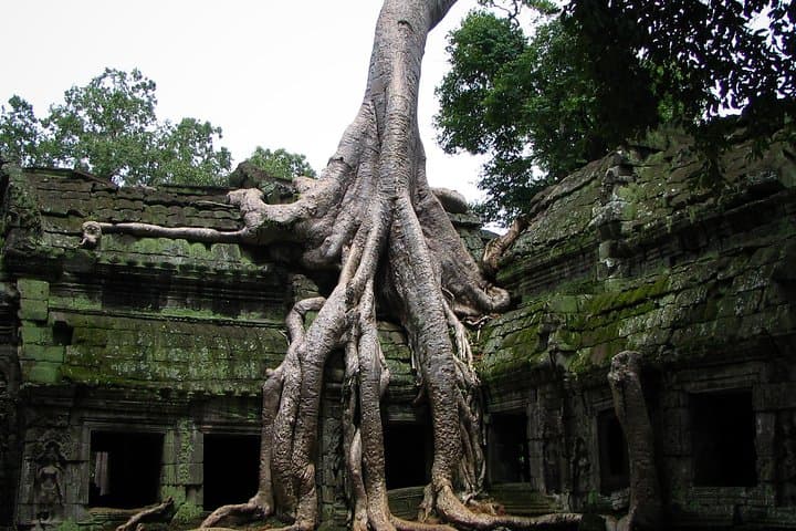 3-Day Private Angkor VIP Tour — Angkor Wat, Beng Mealea & Phnom Kulen photo 4