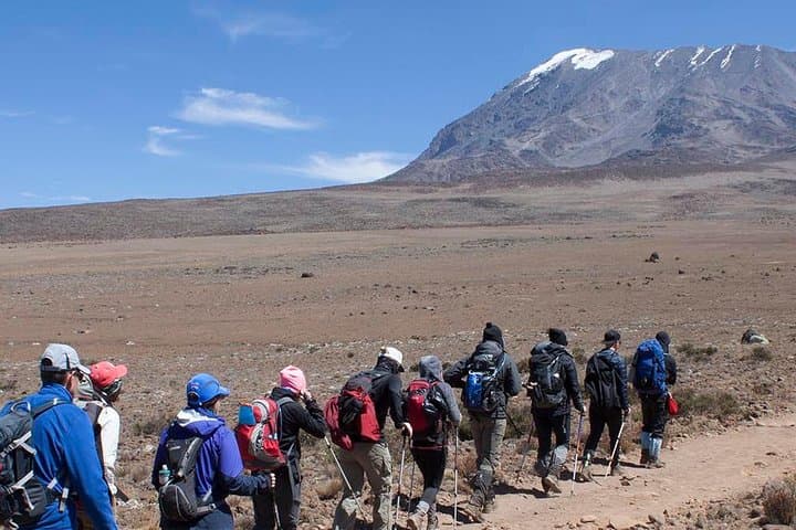 5-Day Marangu Route Kilimanjaro Trek: Huts, Altitude & Summit Strategy photo 6