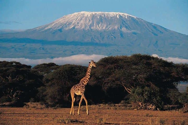 6-Day Marangu Route Trek to Kilimanjaro's Uhuru Peak