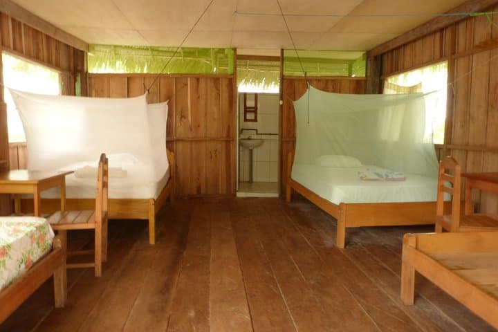 3-Day Private Amazon Experience from Iquitos — Community-Run Jungle Lodge photo 5