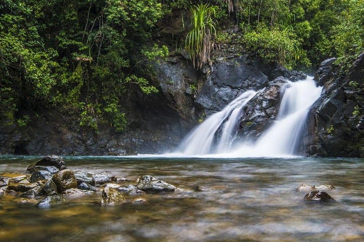 Estrella Falls Day Trip from Puerto Princesa: Twin Waterfalls, Forest Pools & Native Flora photo 5