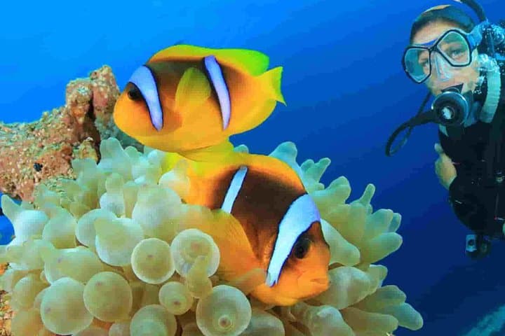Blue Lagoon Snorkeling in Padangbai — All‑Inclusive Bali Day Trip photo 6