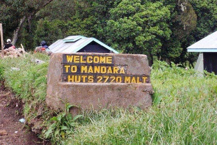 6-Day Marangu Route Trek to Kilimanjaro's Uhuru Peak photo 6